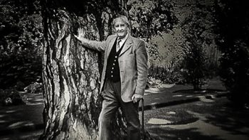 tolkienin-agaci
