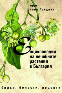 Bilkite v BG_malka
