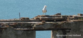sozopol_editions