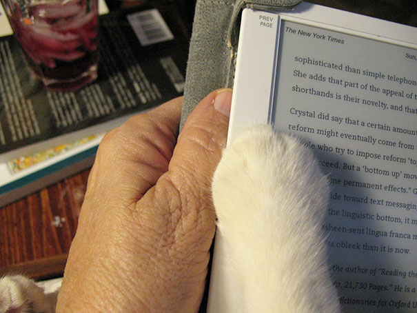 cat10