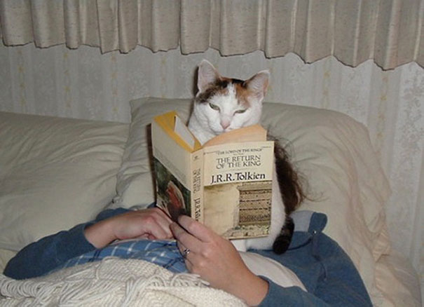 cat5
