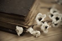 beautifulbook
