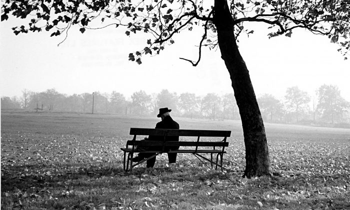 Man sitting on a bench under a tree